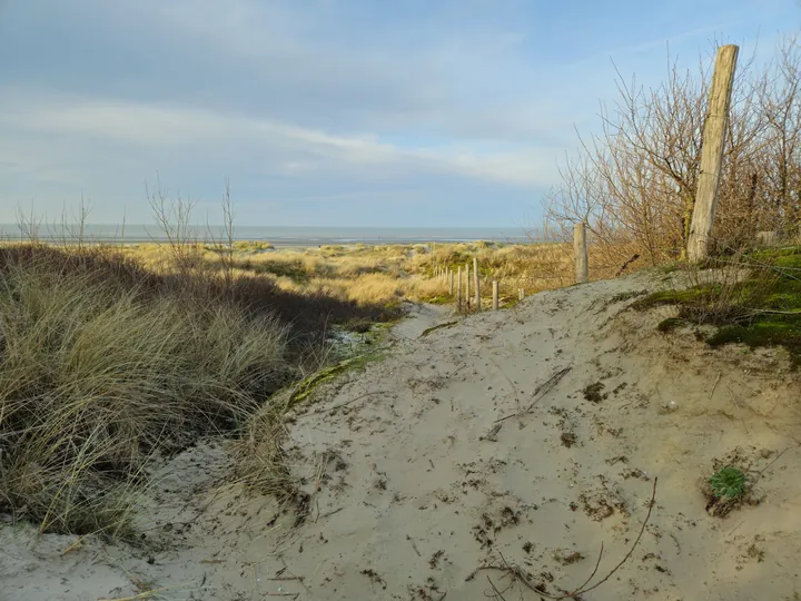 Oostnieuwkerke duinen wandeling in de koude (België)